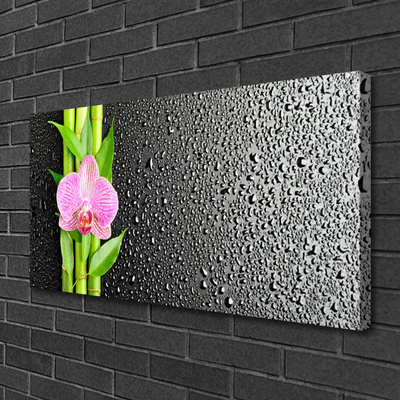 Canvas print Bamboo stalk flower floral pink green