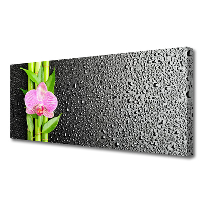 Canvas print Bamboo stalk flower floral pink green