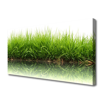 Canvas print Grass nature green