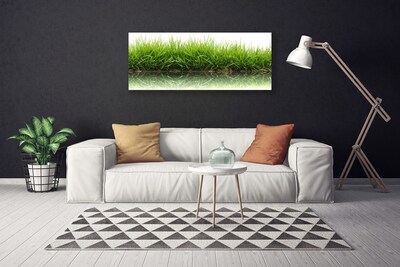 Canvas print Grass nature green