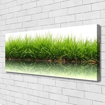 Canvas print Grass nature green