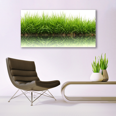 Canvas print Grass nature green