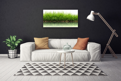 Canvas print Grass nature green