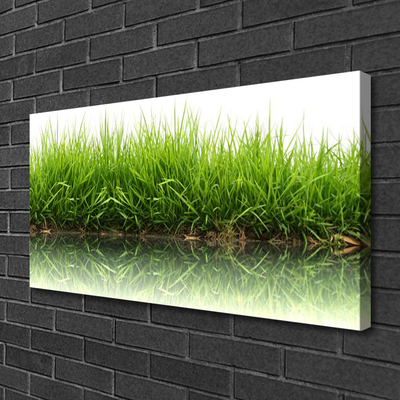 Canvas print Grass nature green