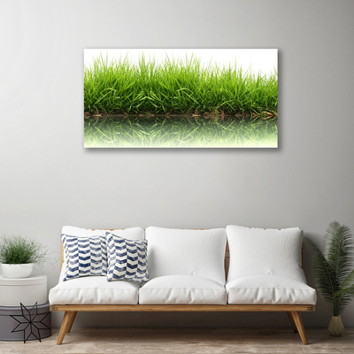 Canvas print Grass nature green