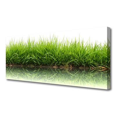 Canvas print Grass nature green