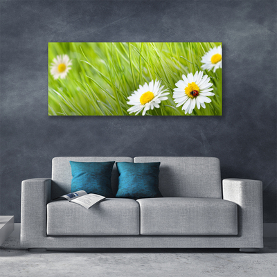 Canvas print Grass daisies nature white green