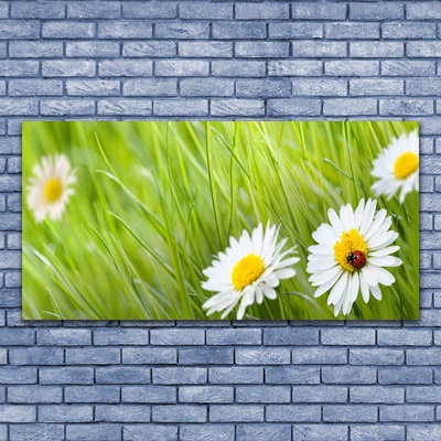 Canvas print Grass daisies nature white green