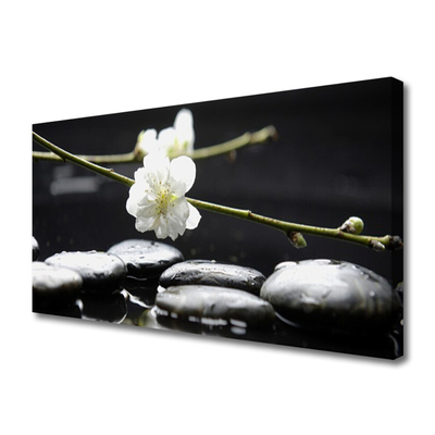 Canvas print Flower stones art white black