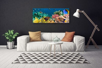 Canvas print Coral reef nature multi