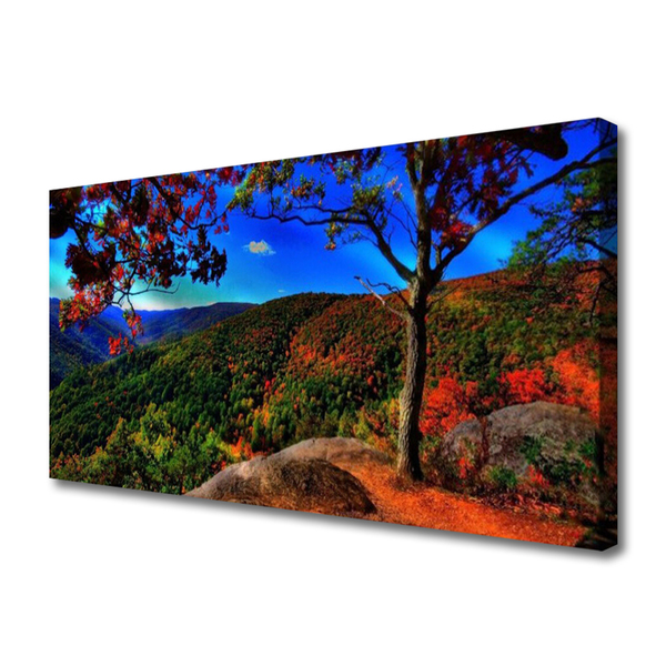 Canvas print Mountain forest nature brown orange green