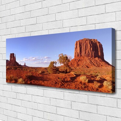 Canvas print Desert landscape brown green