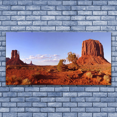 Canvas print Desert landscape brown green