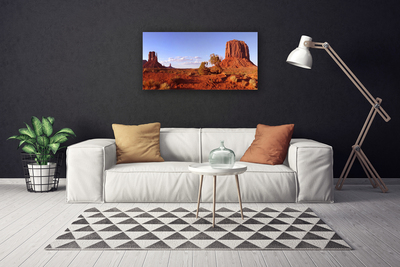 Canvas print Desert landscape brown green