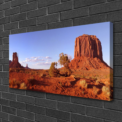 Canvas print Desert landscape brown green