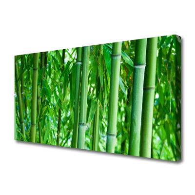 Canvas print Bamboo stalk floral green