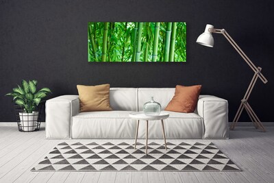 Canvas print Bamboo stalk floral green