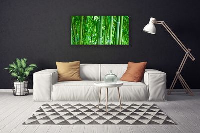 Canvas print Bamboo stalk floral green