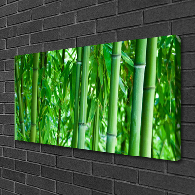 Canvas print Bamboo stalk floral green