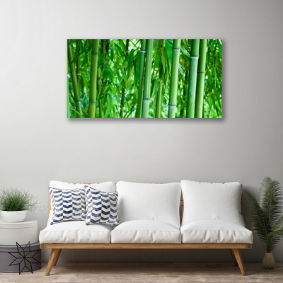 Canvas print Bamboo stalk floral green