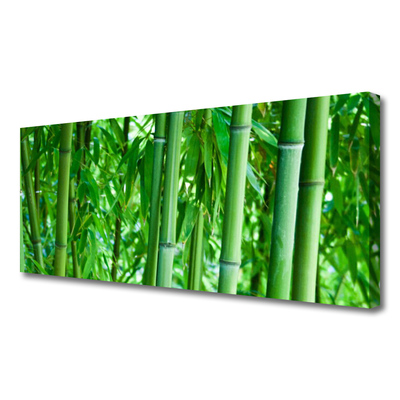 Canvas print Bamboo stalk floral green