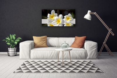 Canvas print Flowers floral white yellow