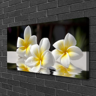 Canvas print Flowers floral white yellow