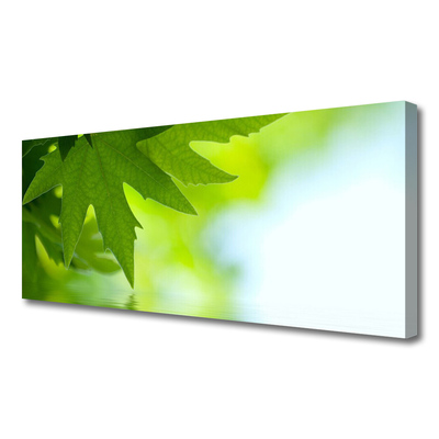 Canvas print Leaves nature green