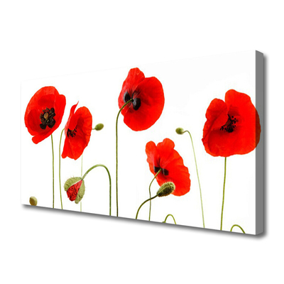 Canvas print Poppies floral red black green