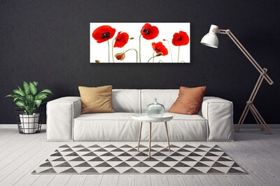 Canvas print Poppies floral red black green