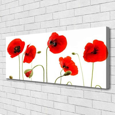 Canvas print Poppies floral red black green