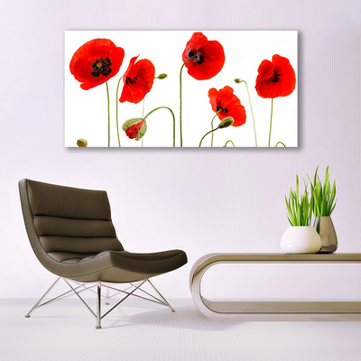 Canvas print Poppies floral red black green