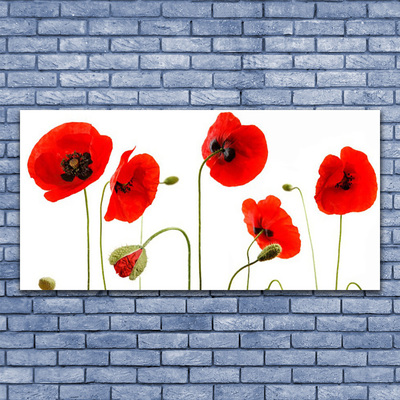 Canvas print Poppies floral red black green