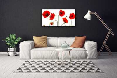 Canvas print Poppies floral red black green