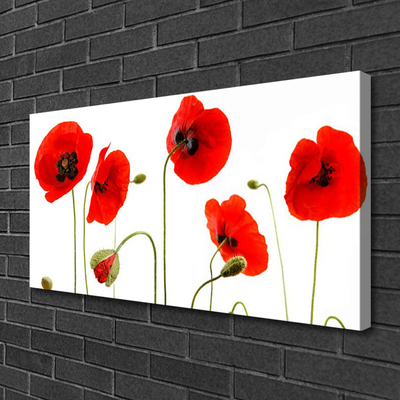 Canvas print Poppies floral red black green