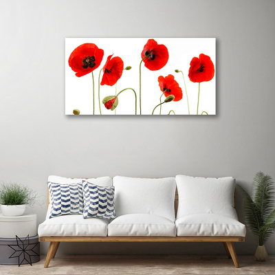 Canvas print Poppies floral red black green