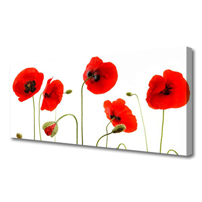 Canvas print Poppies floral red black green