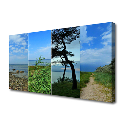 Canvas print Beach tree footpath landscape green brown black