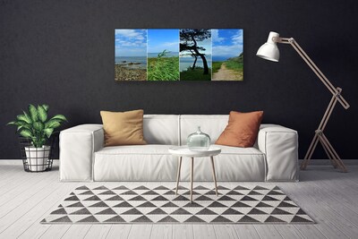 Canvas print Beach tree footpath landscape green brown black