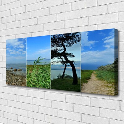 Canvas print Beach tree footpath landscape green brown black