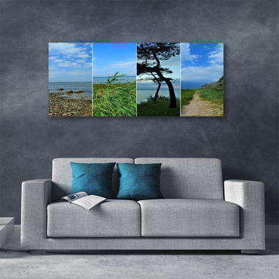 Canvas print Beach tree footpath landscape green brown black