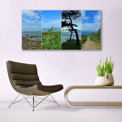 Canvas print Beach tree footpath landscape green brown black