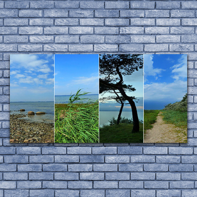 Canvas print Beach tree footpath landscape green brown black