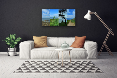 Canvas print Beach tree footpath landscape green brown black