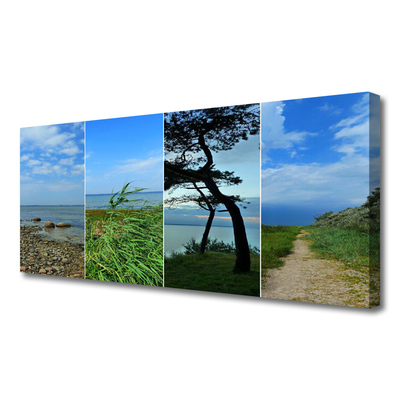 Canvas print Beach tree footpath landscape green brown black