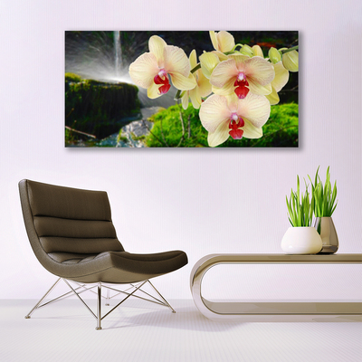 Canvas print Trees floral white red