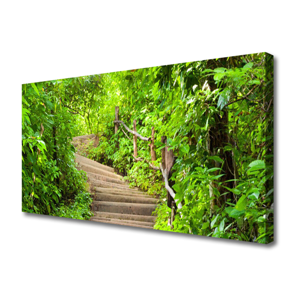 Canvas print Stairs nature brown green