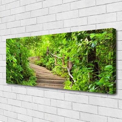 Canvas print Stairs nature brown green