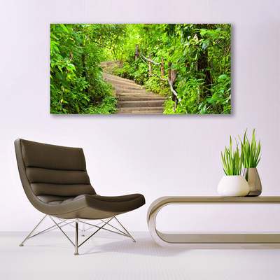 Canvas print Stairs nature brown green