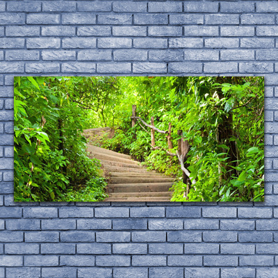 Canvas print Stairs nature brown green